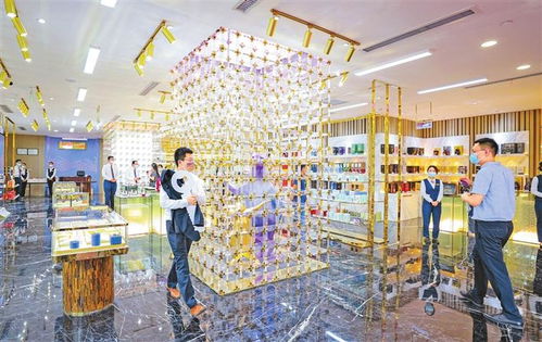 前海深港商貿(mào)物流小鎮(zhèn)正式運(yùn)營(yíng)